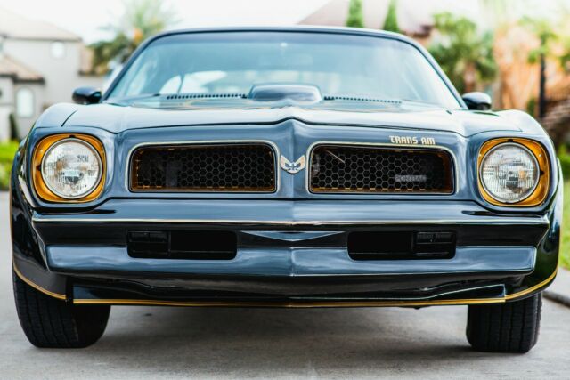 Pontiac Trans Am 1976 image number 17