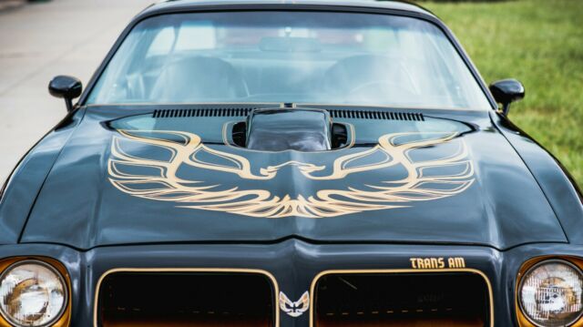 Pontiac Trans Am 1976 image number 19