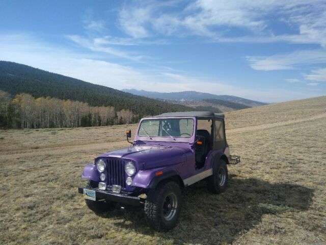 Jeep CJ 1976 image number 0