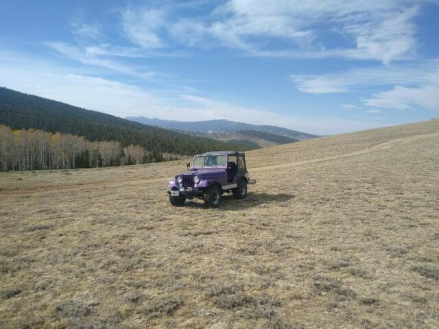 Jeep CJ 1976 image number 1