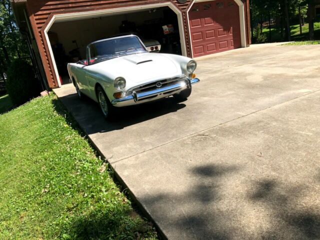 Sunbeam Tiger 1966 image number 25