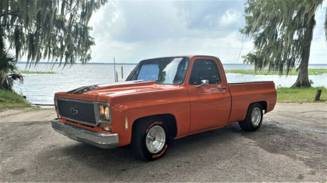 Chevrolet C-10 1976 image number 0