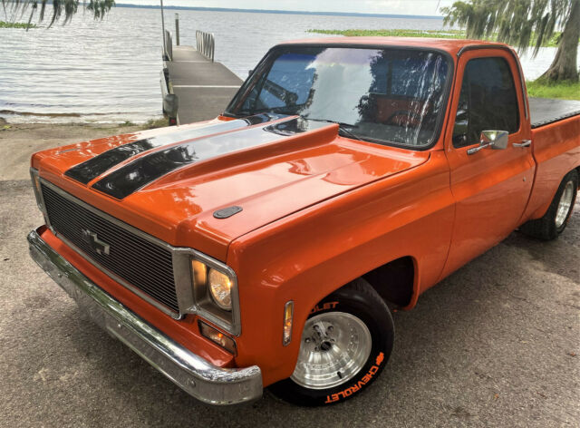 Chevrolet C-10 1976 image number 1