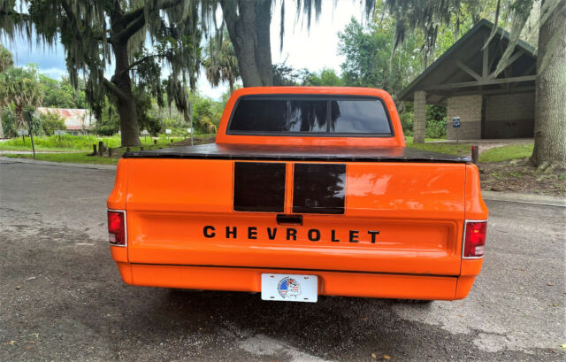 Chevrolet C-10 1976 image number 30