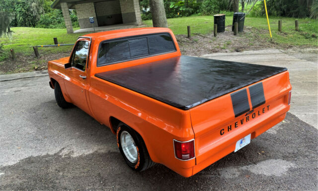 Chevrolet C-10 1976 image number 31