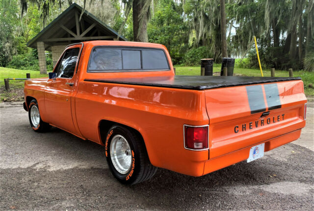 Chevrolet C-10 1976 image number 32