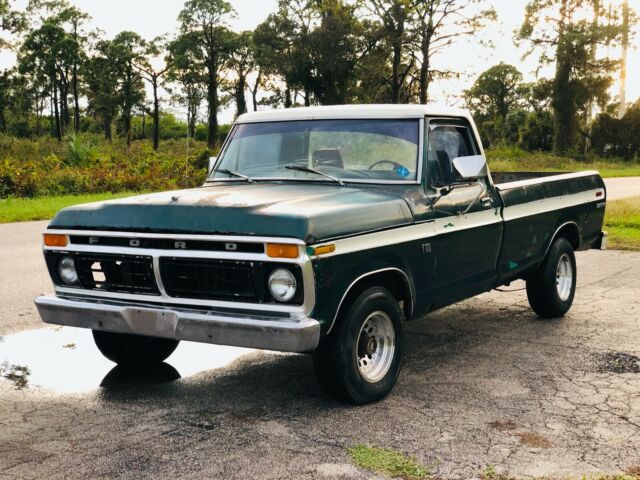 Ford F-100 1976 image number 28