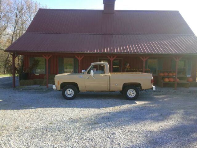 Chevrolet C/K Pickup 1500 1977 image number 0