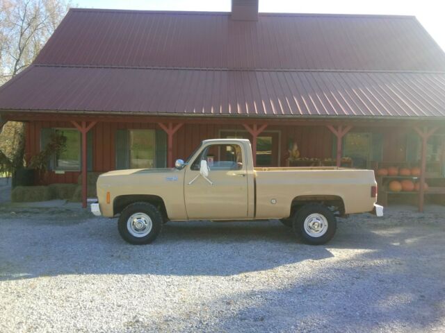 Chevrolet C/K Pickup 1500 1977 image number 11