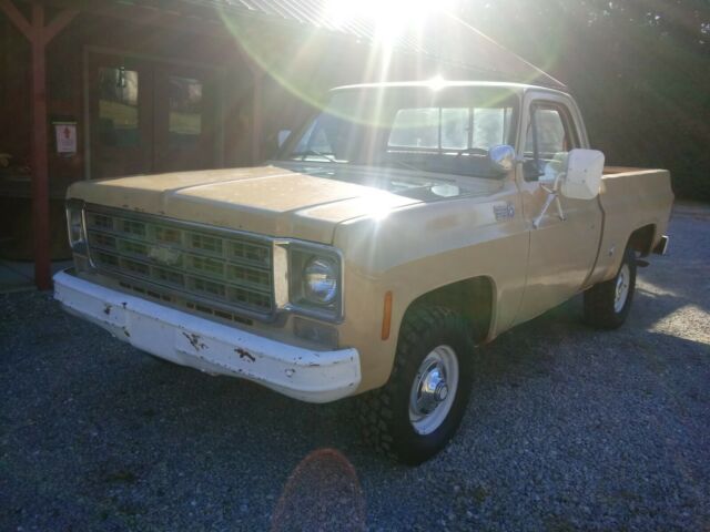 Chevrolet C/K Pickup 1500 1977 image number 12