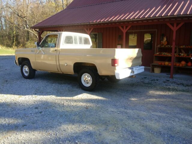 Chevrolet C/K Pickup 1500 1977 image number 31