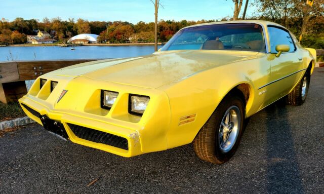 Pontiac Firebird 1979 image number 0