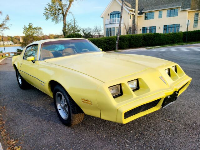 Pontiac Firebird 1979 image number 13