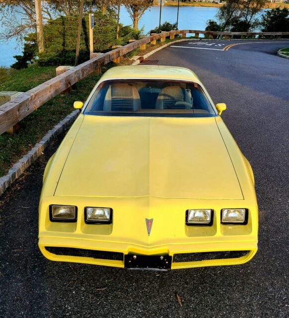 Pontiac Firebird 1979 image number 18