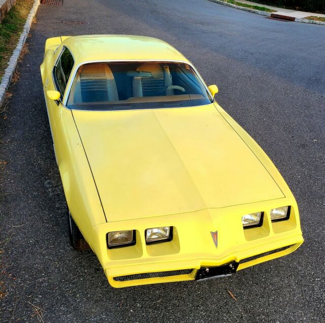 Pontiac Firebird 1979 image number 28