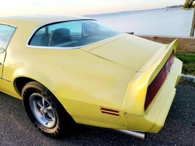 Pontiac Firebird 1979 image number 29