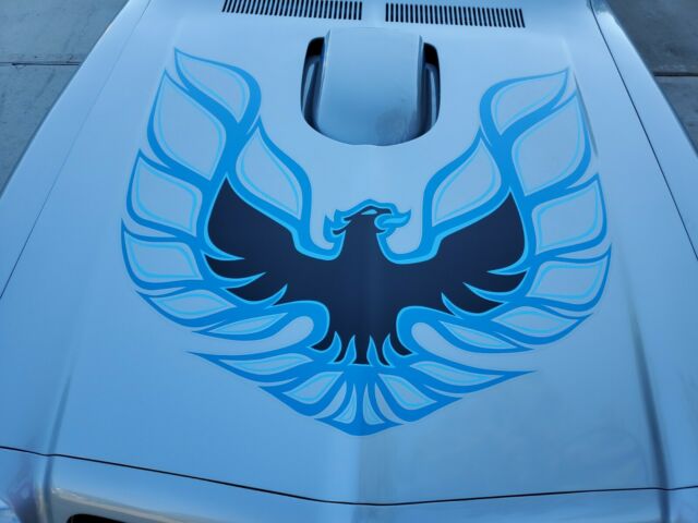 Pontiac Trans Am 1976 image number 10