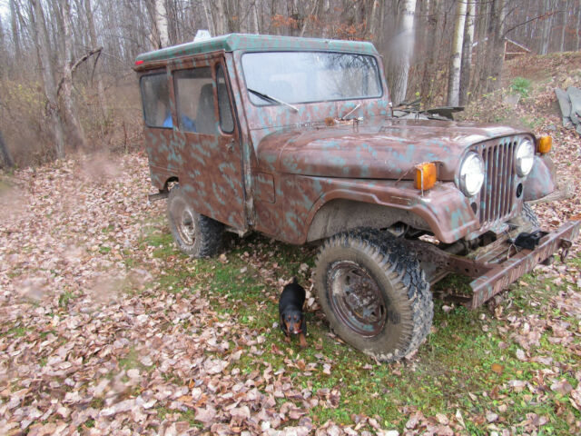 Jeep CJ 1978 image number 17