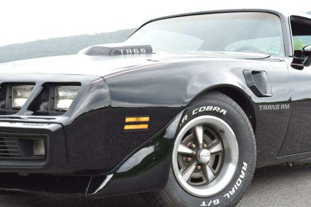 Pontiac Firebird 1979 image number 1