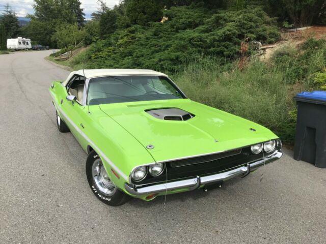 Dodge Challenger 1970 image number 1