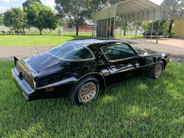 Pontiac Trans Am 1978 image number 24