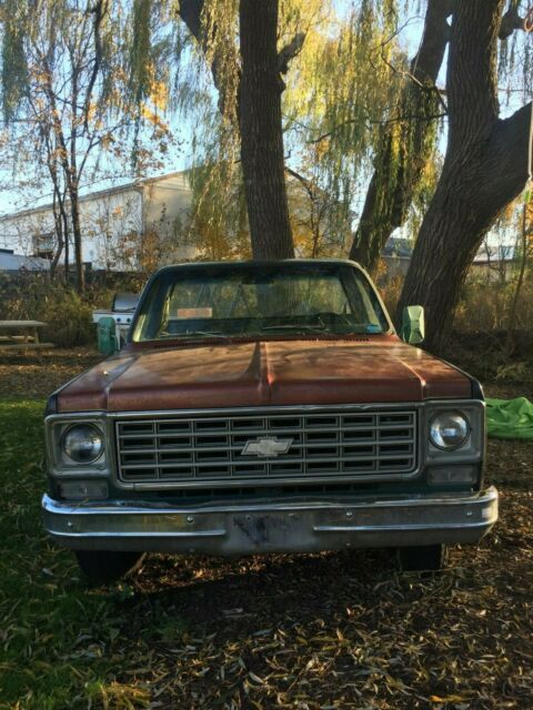 Chevrolet C-10 1976 image number 13