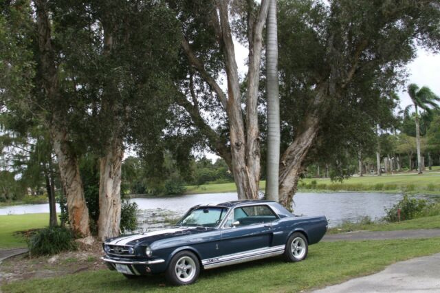 Ford Mustang 1965 image number 15