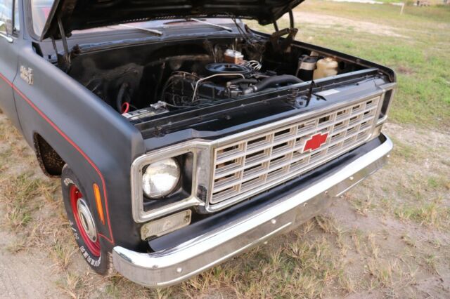 Chevrolet C-10 1977 image number 20