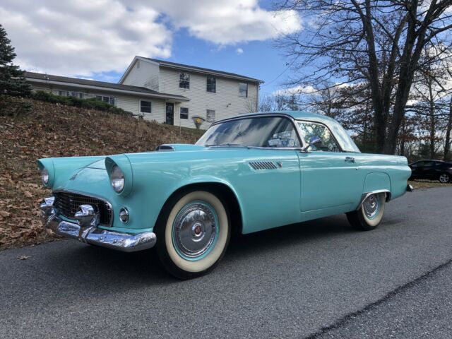 Ford Thunderbird 1955 image number 16