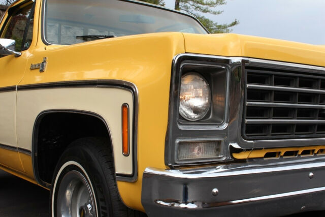 Chevrolet C-10 1979 image number 29