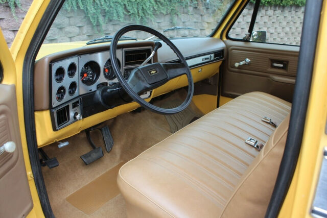 Chevrolet C-10 1979 image number 37