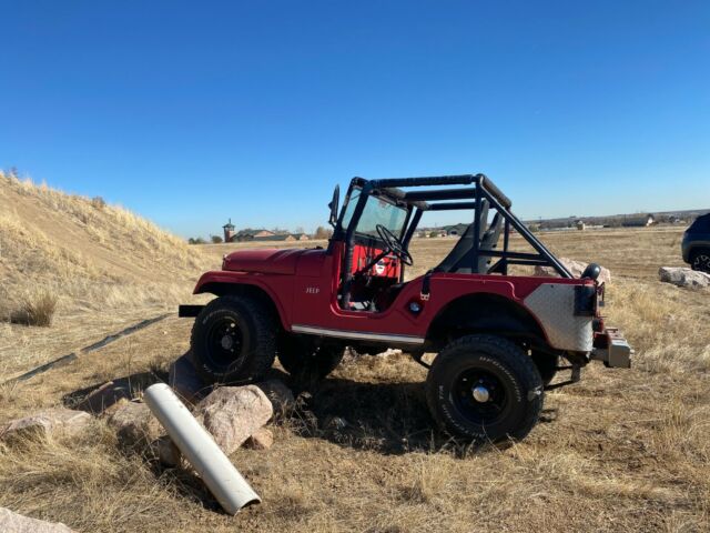 Jeep willys 1960 image number 0