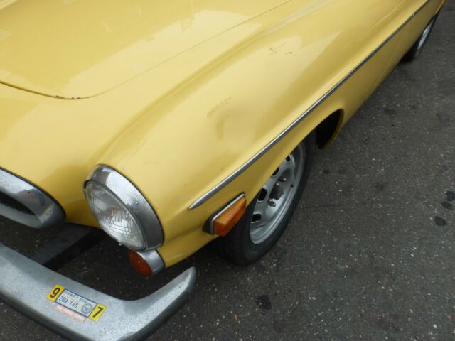 Volvo 1800 1973 image number 22