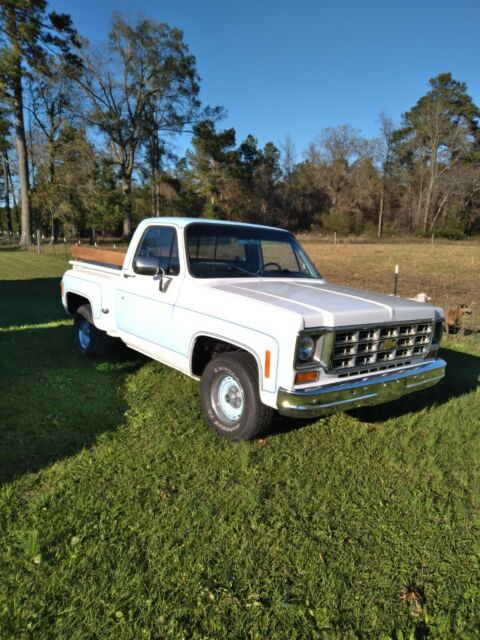 Chevrolet C-10 1973 image number 12