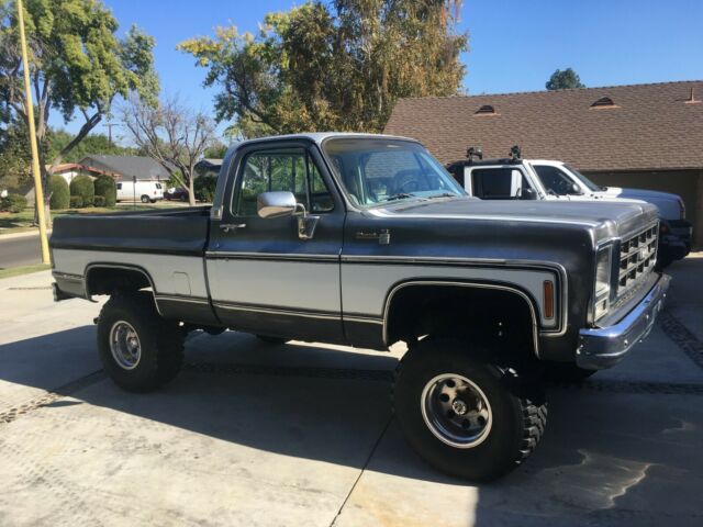 Chevrolet Silverado 1500 1979 image number 15