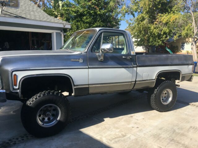 Chevrolet Silverado 1500 1979 image number 2