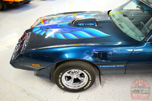 Pontiac Trans Am 1979 image number 11