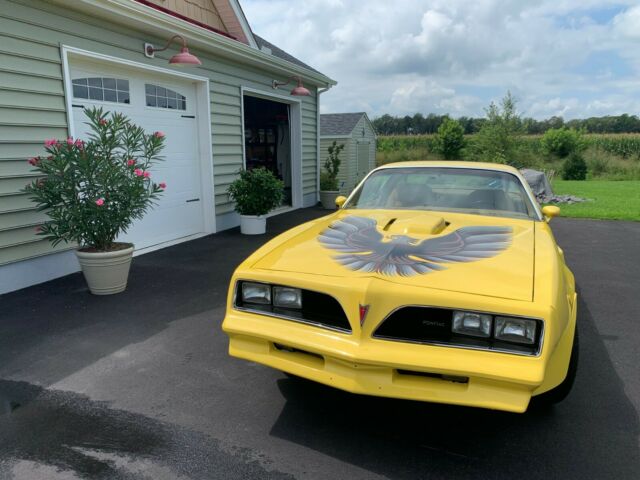 Pontiac Trans Am 1978 image number 0