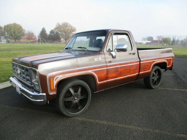 Chevrolet C-10 1979 image number 0