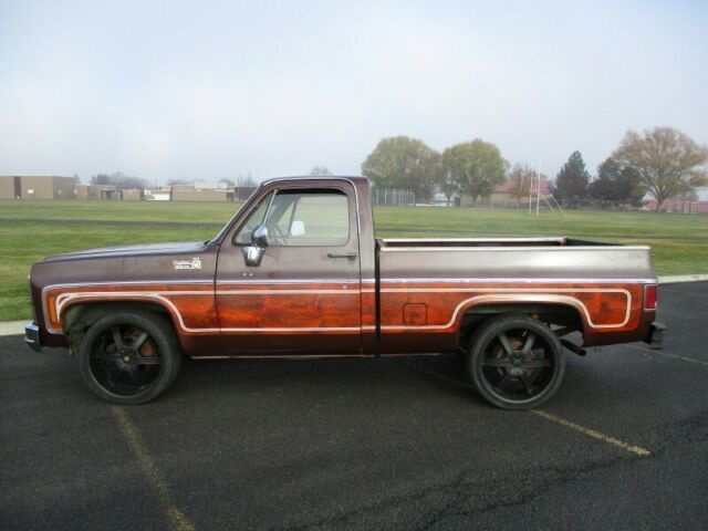 Chevrolet C-10 1979 image number 25