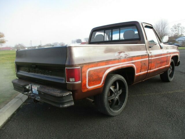 Chevrolet C-10 1979 image number 30