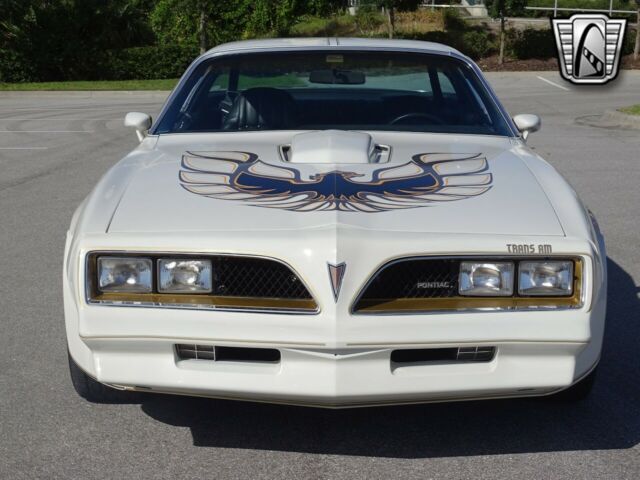 Pontiac Firebird Trans-Am 1978 image number 7