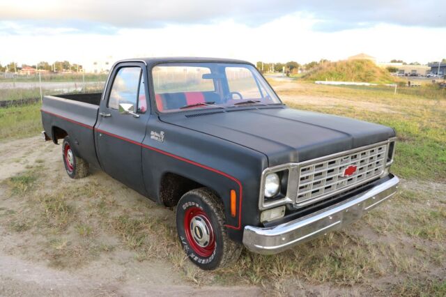 Chevrolet C-10 1977 image number 29