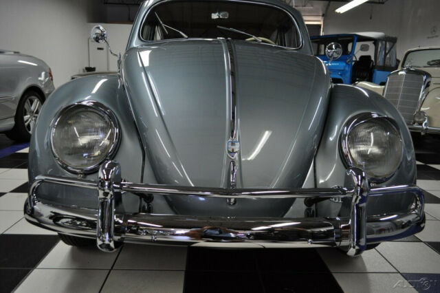 Volkswagen Beetle - Classic 1954 image number 3