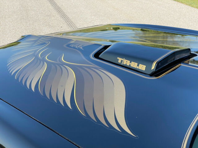 Pontiac Trans Am 1979 image number 8