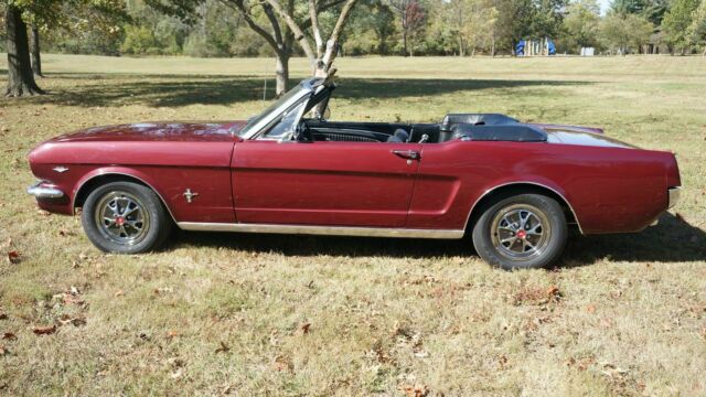 Ford Mustang 1965 image number 14