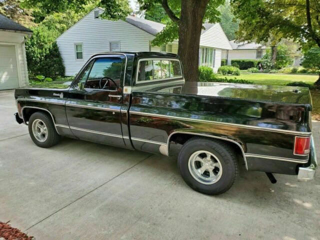 Chevrolet Silverado 1975 image number 7