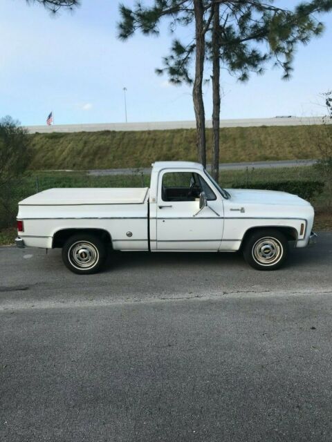 Chevrolet C-10 1976 image number 1