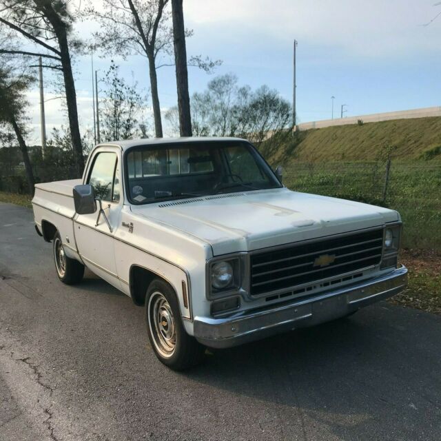 Chevrolet C-10 1976 image number 21