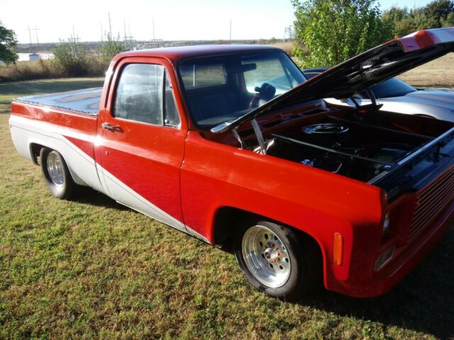 Chevrolet Silverado 1500 1975 image number 5